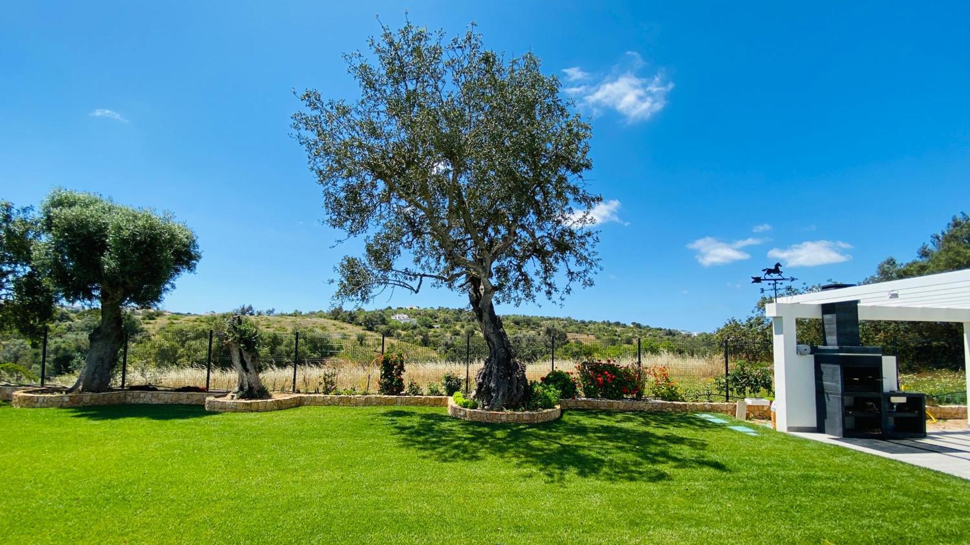 Eden By Check-In Portugal Villa Albufeira Bagian luar foto